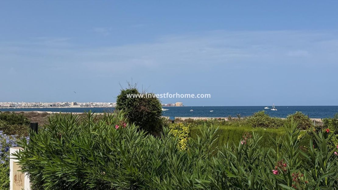 Vente - Villa - Torrevieja - Punta prima