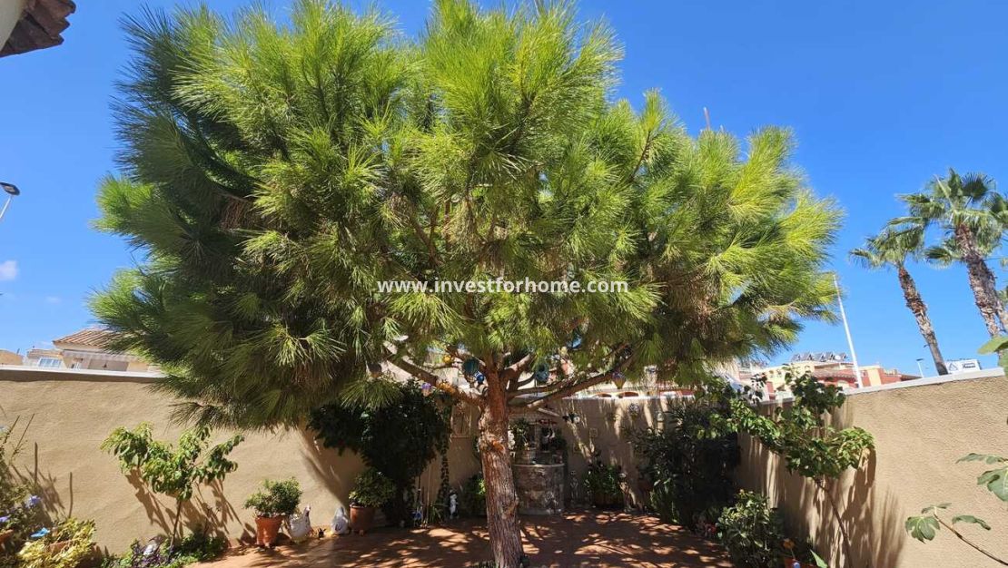 Vente - Villa - Torrevieja - Torre Del Moro