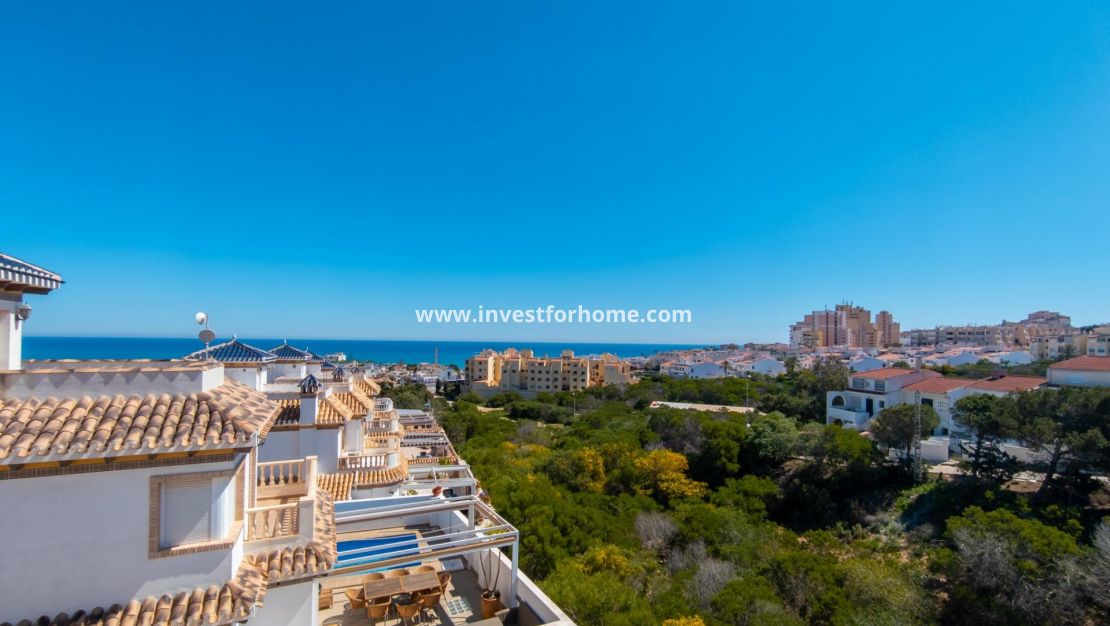 Vente - Villa - Torrevieja - Torrelamata - La Mata