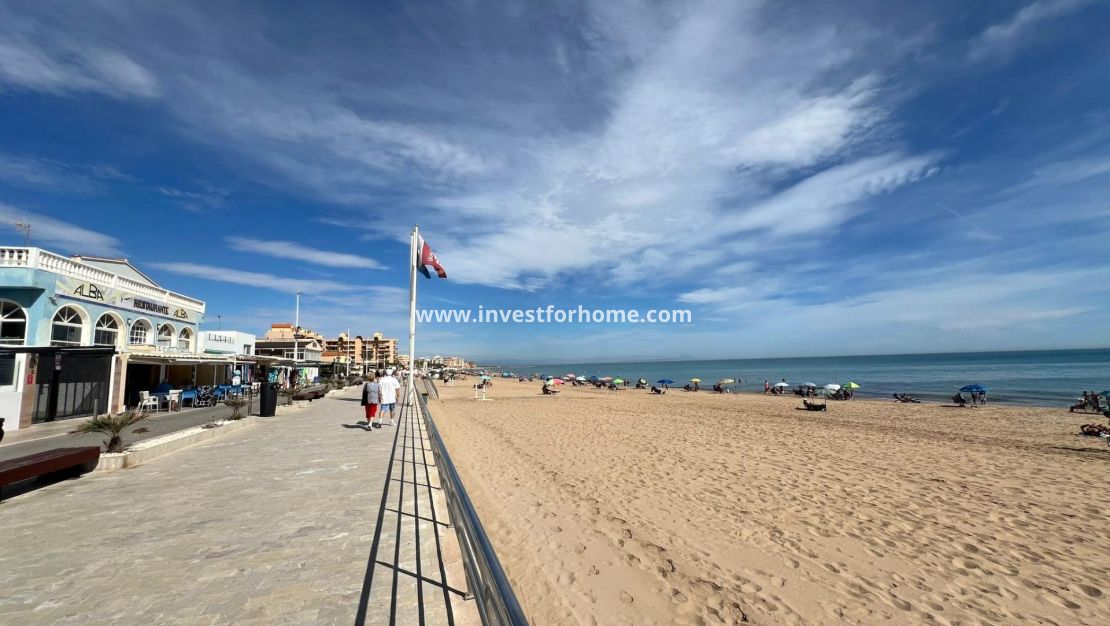 Vente - Villa - Torrevieja - Torrelamata - La Mata