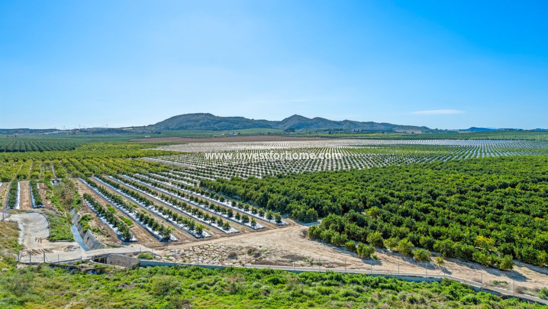 Verkoop - Appartement - Algorfa - Inland