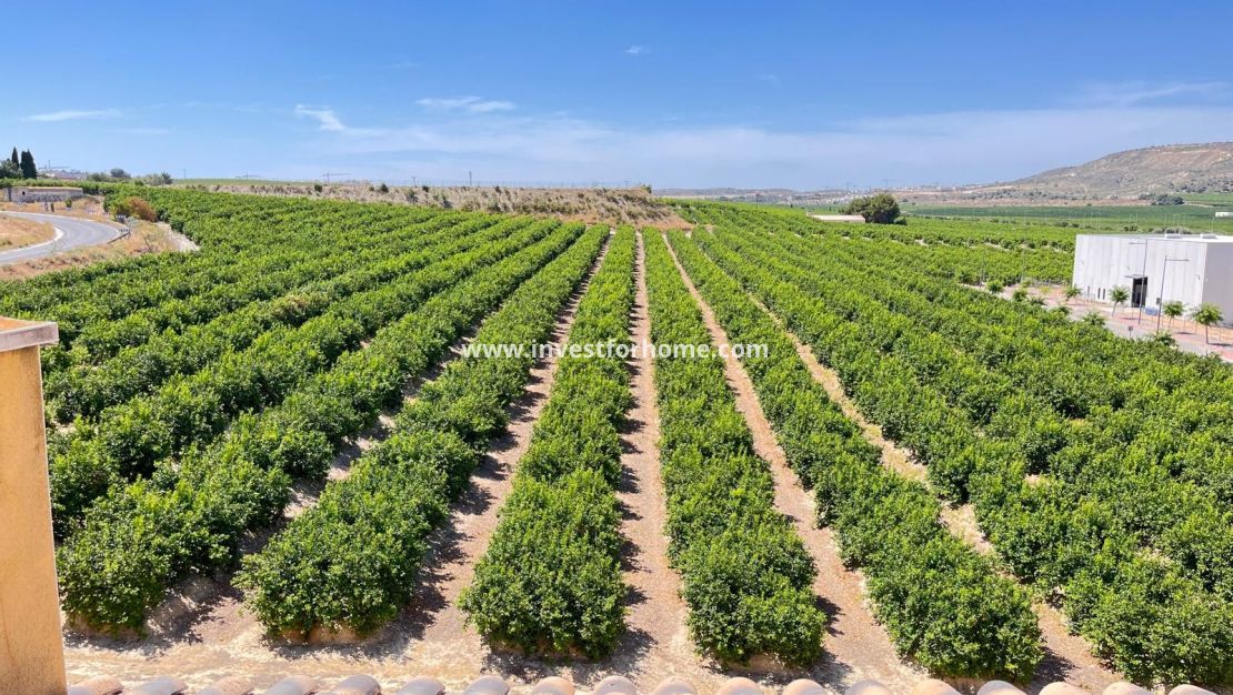 Verkoop - Appartement - Algorfa - Inland