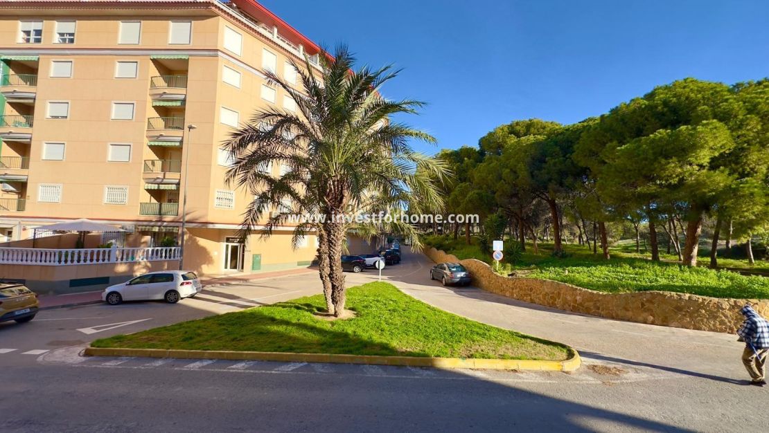 Verkoop - Appartement - Guardamar del Segura - Centro