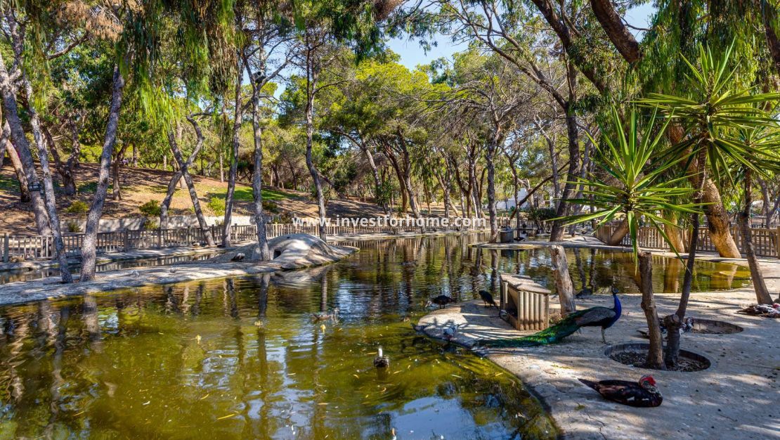 Verkoop - Appartement - Guardamar del Segura - Costa Blanca