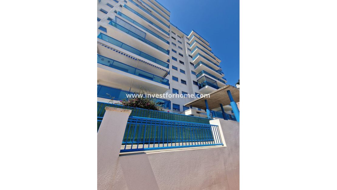 Verkoop - Appartement - Guardamar del Segura - Costa Blanca