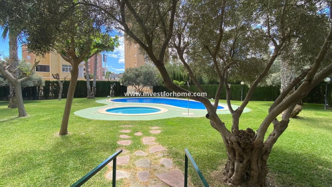 Verkoop - Appartement - Guardamar del Segura - Costa Blanca