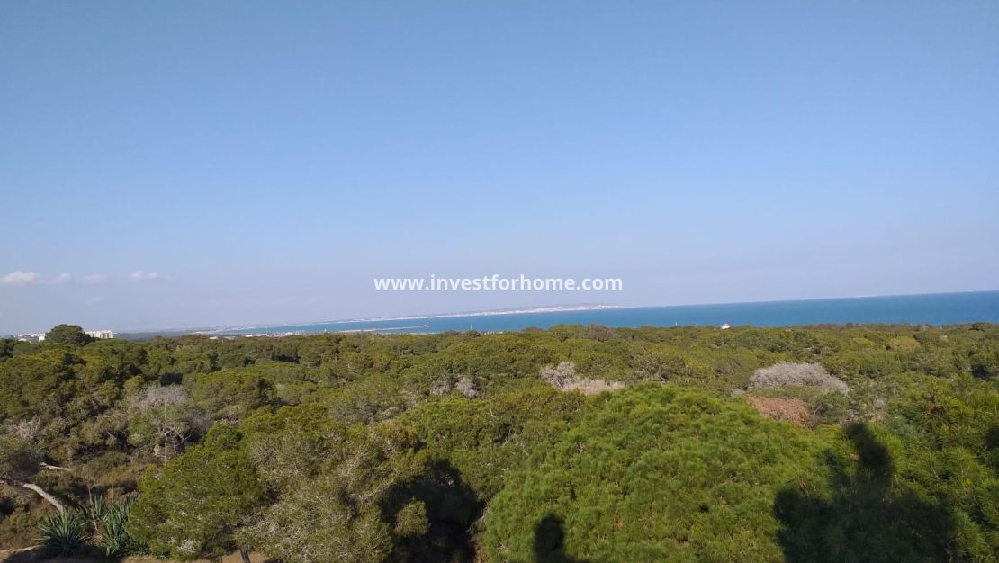 Verkoop - Appartement - Guardamar del Segura - Costa Blanca