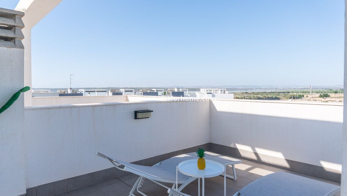 Verkoop - Appartement - Guardamar del Segura - Costa Blanca