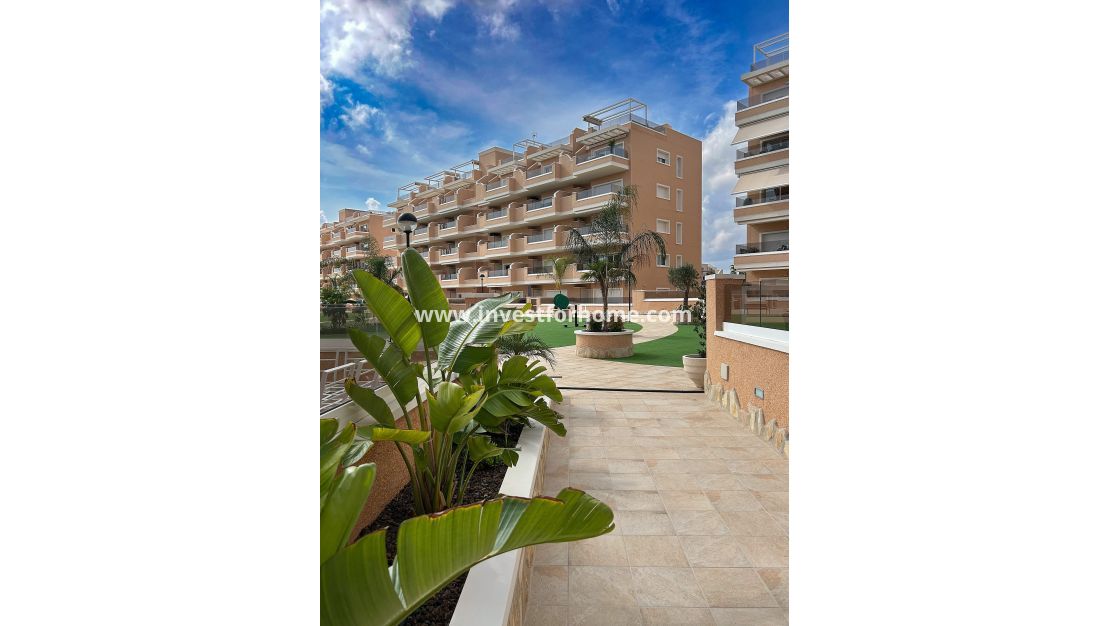 Verkoop - Appartement - Guardamar del Segura - El Raso