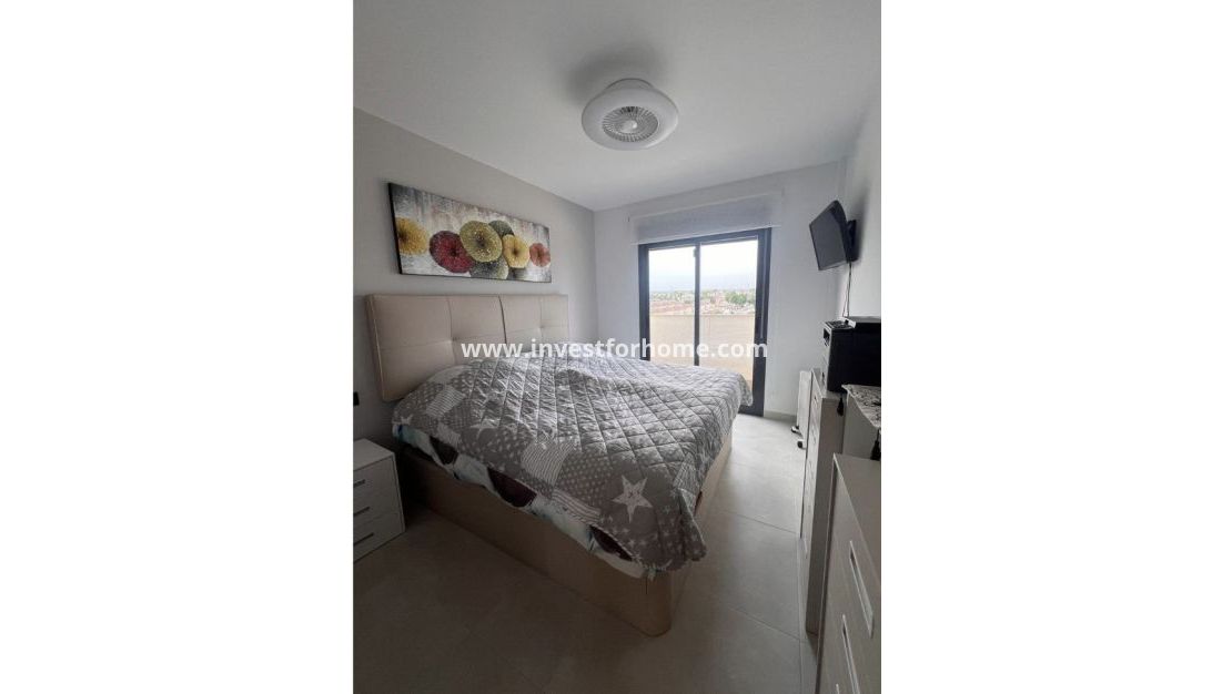 Verkoop - Appartement - Guardamar del Segura - El Raso
