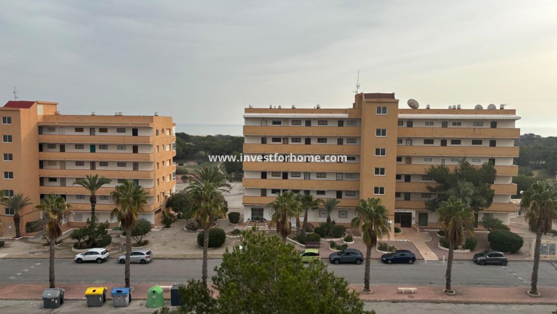 Verkoop - Appartement - Guardamar del Segura - Pinomar