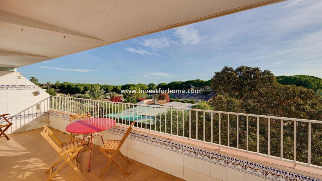 Verkoop - Appartement - Guardamar del Segura - Pinomar