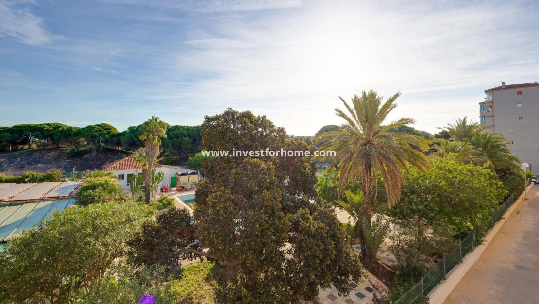 Verkoop - Appartement - Guardamar del Segura - Pinomar