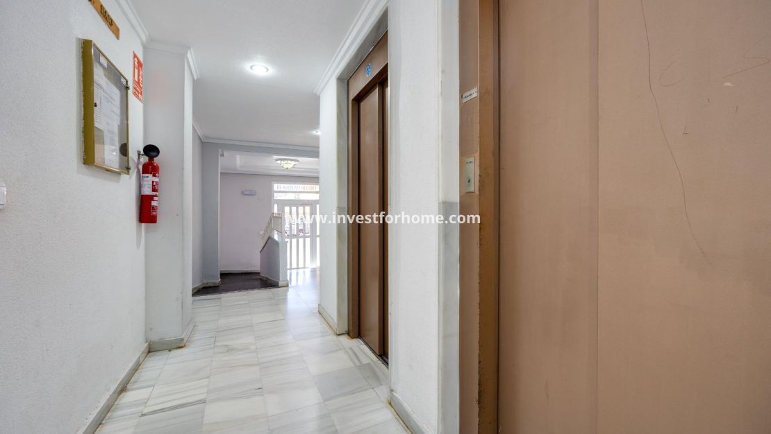 Verkoop - Appartement - Guardamar del Segura - Pueblo