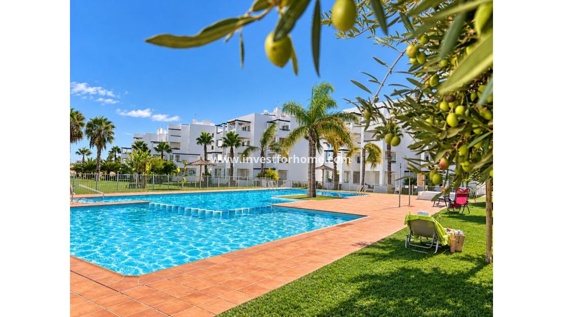 Verkoop - Appartement - Las Terrazas de la Torre