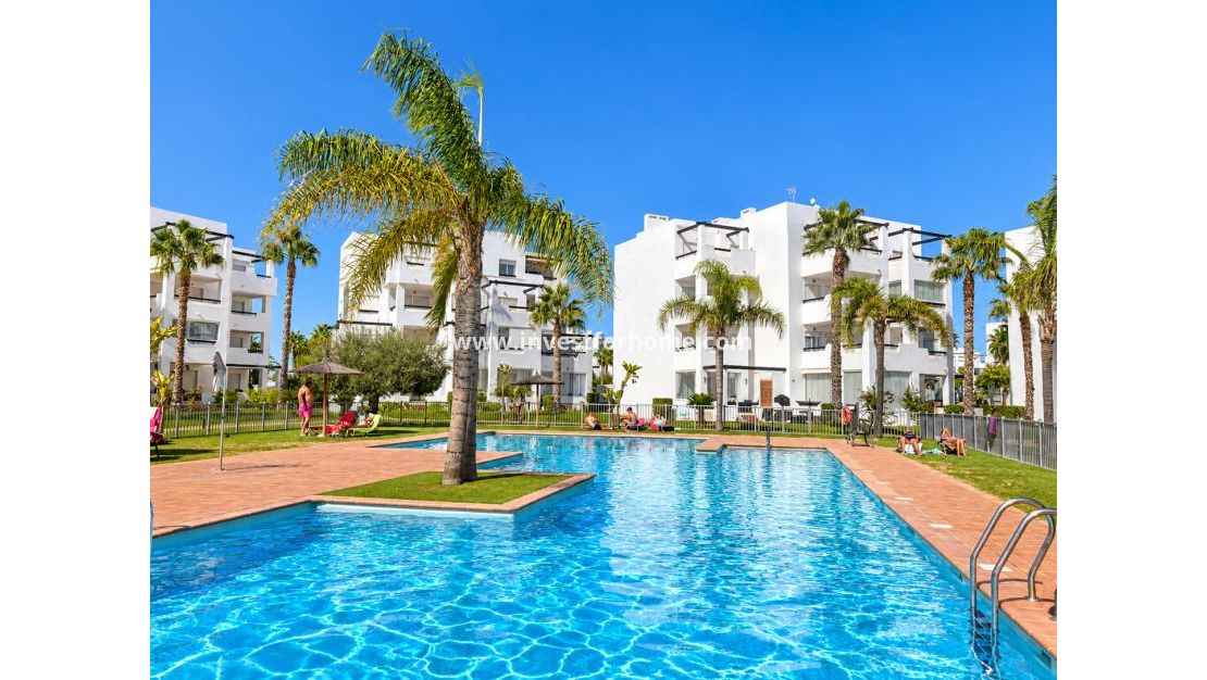 Verkoop - Appartement - Las Terrazas de la Torre