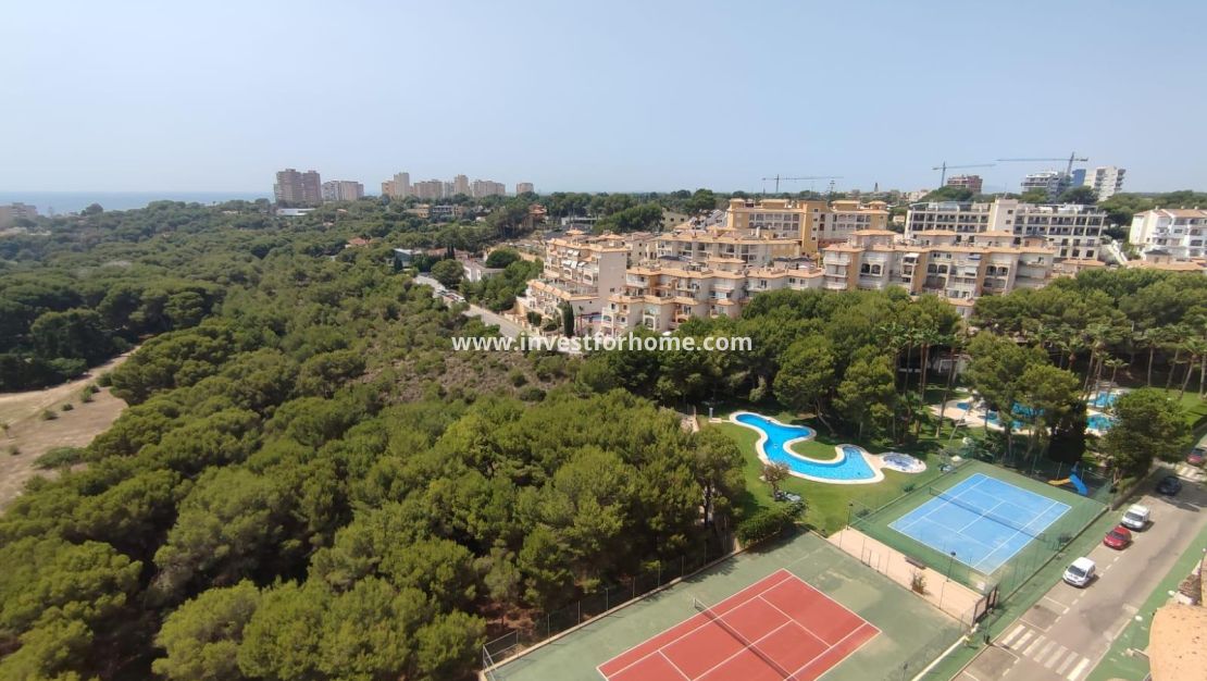 Verkoop - Appartement - Orihuela Costa - Altos De Campoamor