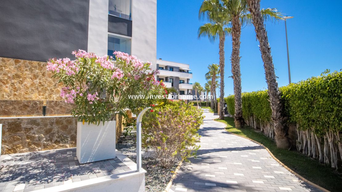Verkoop - Appartement - Orihuela Costa - AMANECER