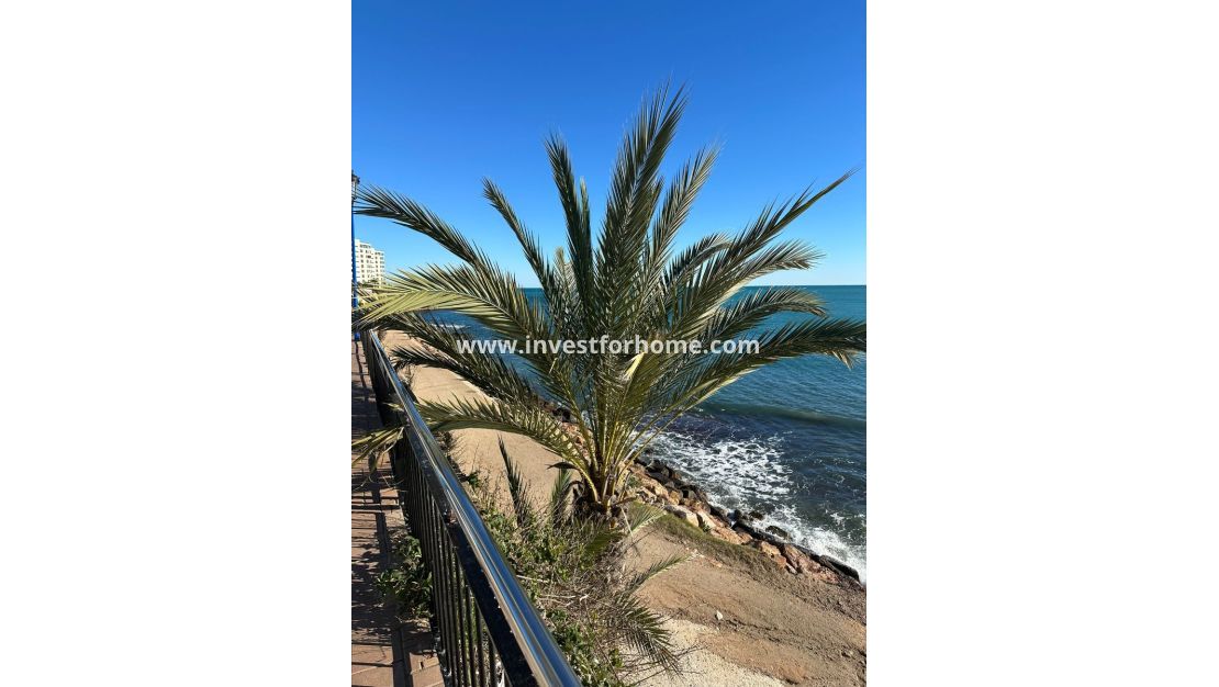 Verkoop - Appartement - Orihuela Costa - Costa Blanca