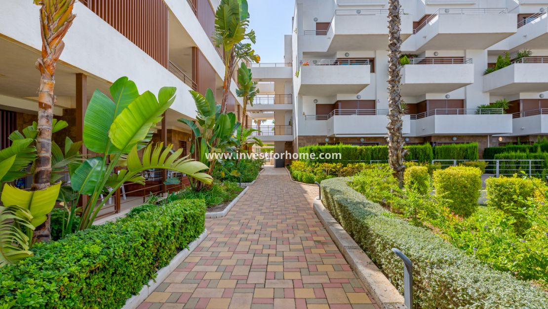 Verkoop - Appartement - Orihuela Costa - Costa Blanca