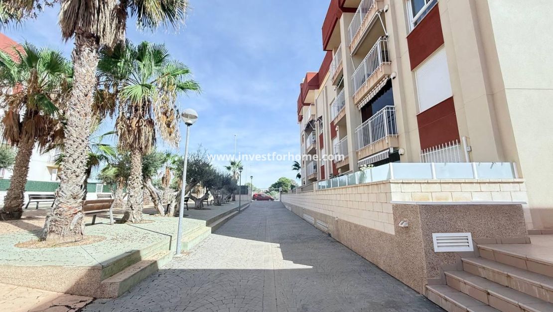 Verkoop - Appartement - Orihuela Costa - Lomas De Cabo Roig