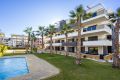 Verkoop - Appartement - Orihuela Costa - Los Altos