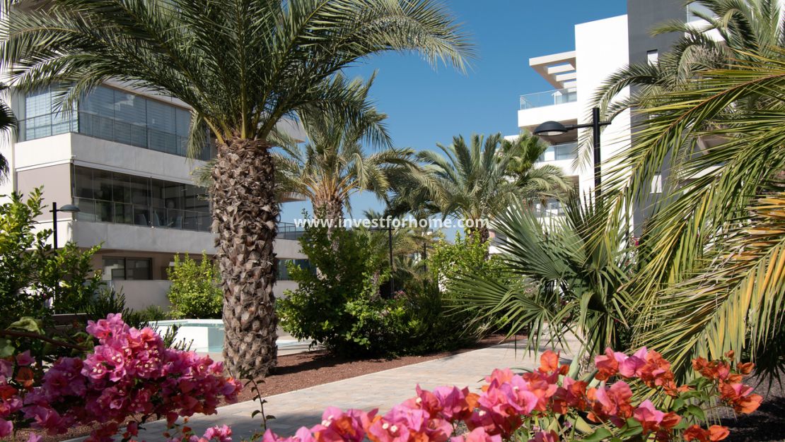 Verkoop - Appartement - Orihuela Costa - Los Dolses