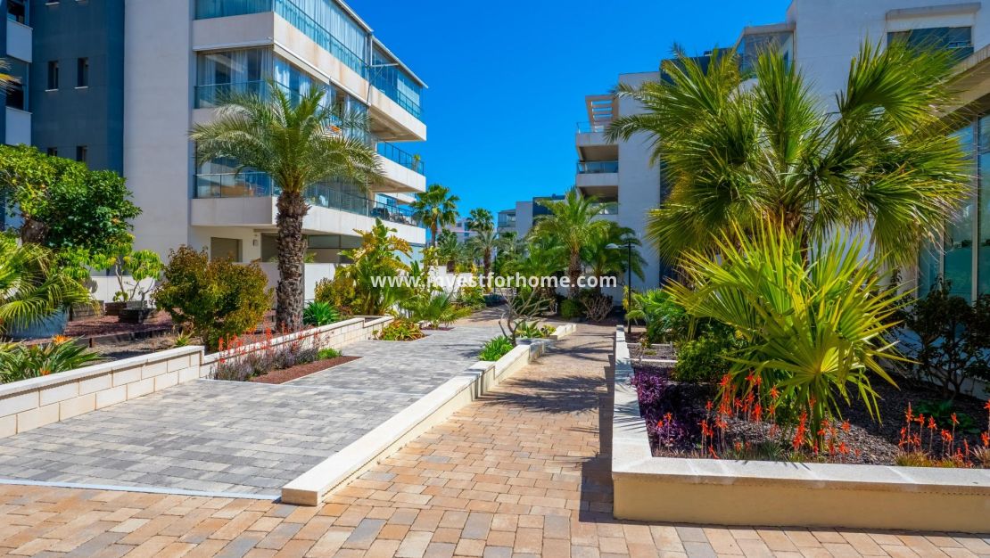 Verkoop - Appartement - Orihuela Costa - Los Dolses