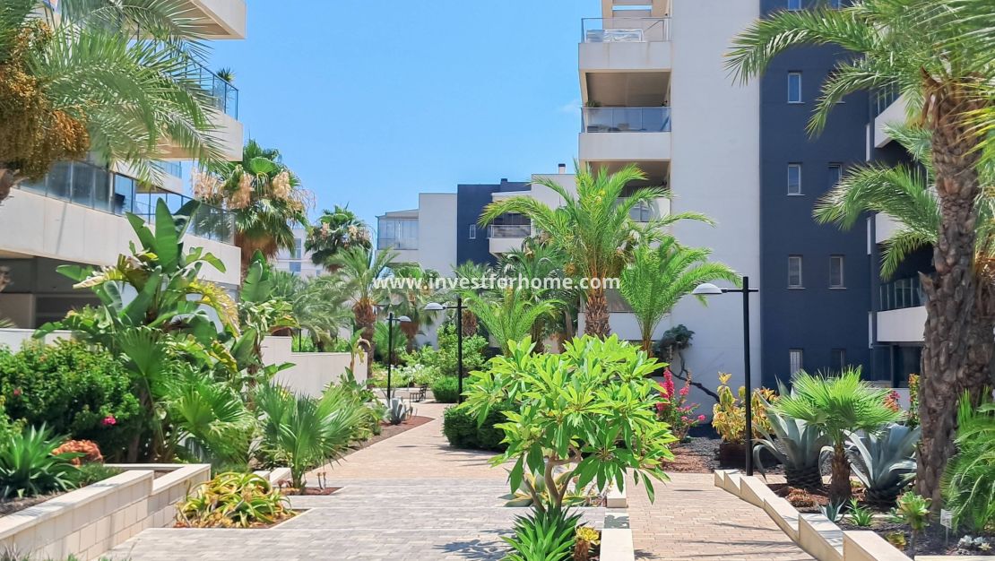 Verkoop - Appartement - Orihuela Costa - Los Dolses