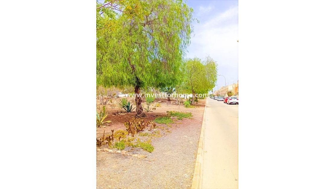 Verkoop - Appartement - Orihuela Costa - Playa Flamenca