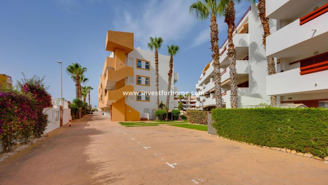 Verkoop - Appartement - Orihuela Costa - Playa Flamenca