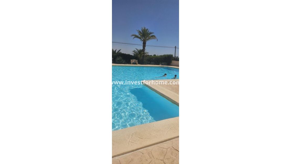 Verkoop - Appartement - Orihuela Costa - Punta Prima