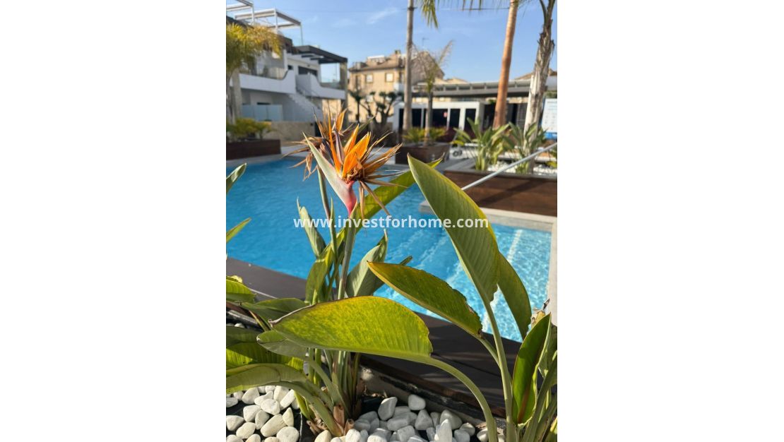 Verkoop - Appartement - Orihuela Costa - Rocio Del Mar