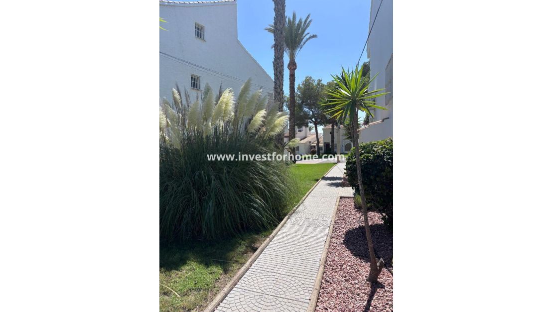 Verkoop - Appartement - Orihuela Costa - Villamartín