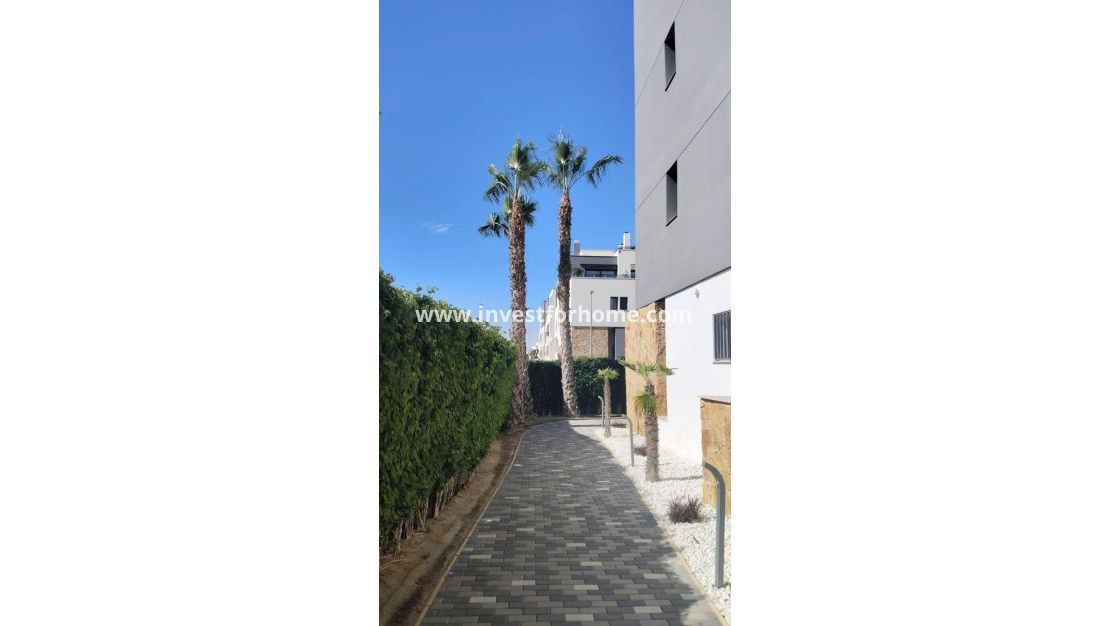 Verkoop - Appartement - Orihuela Costa - Villamartín