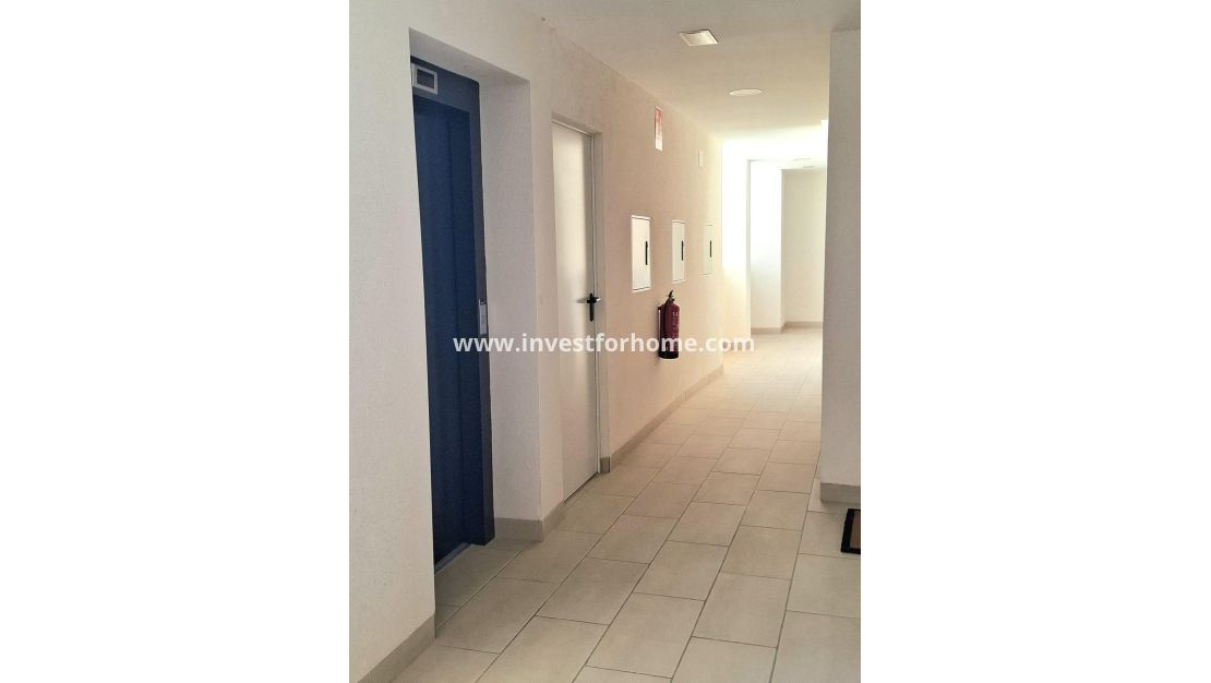 Verkoop - Appartement - Orihuela Costa - Villamartín