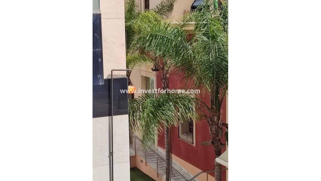 Verkoop - Appartement - Orihuela Costa - Zona Centro