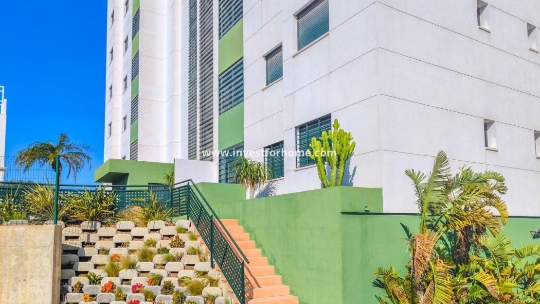 Verkoop - Appartement - Pilar de la Horadada - Mil Palmeras