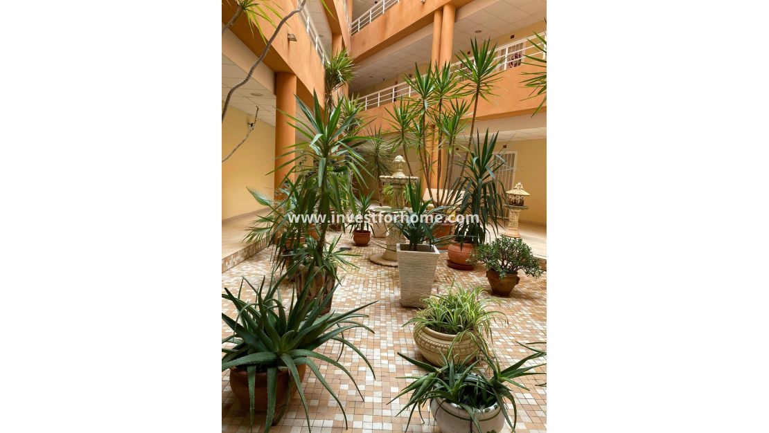 Verkoop - Appartement - San Miguel de Salinas - Pueblo 9