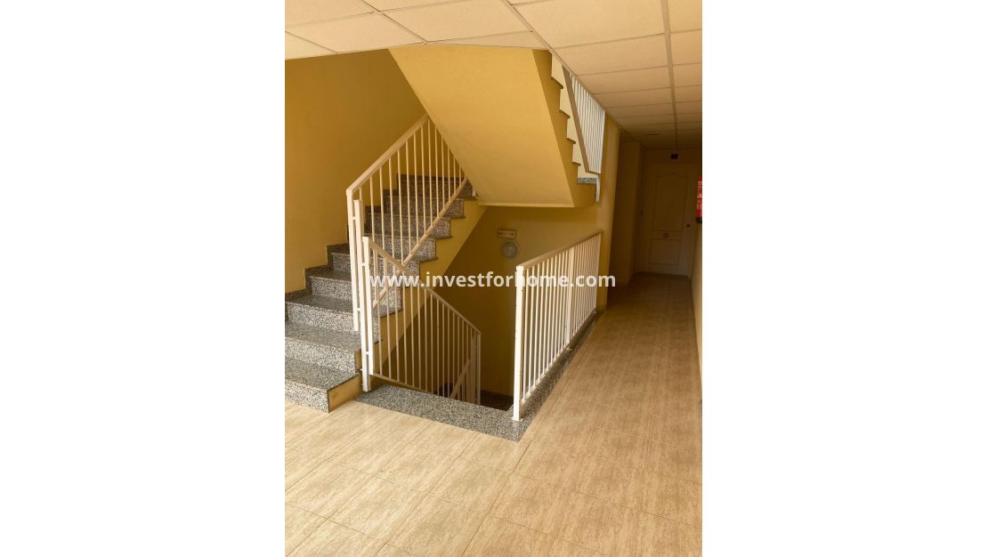 Verkoop - Appartement - San Miguel de Salinas - Pueblo 9