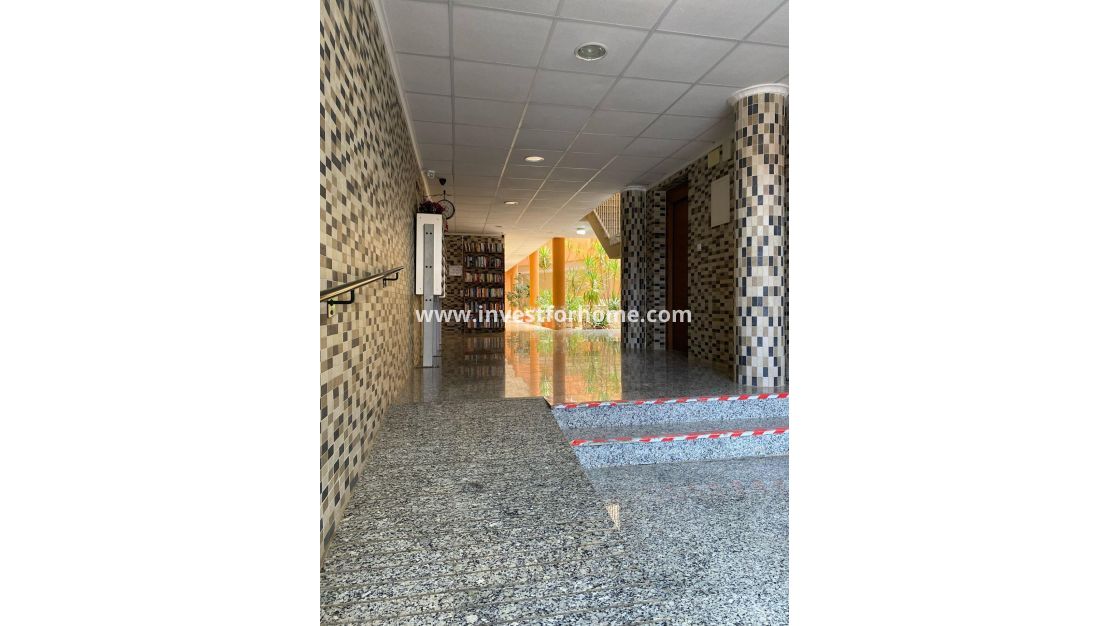 Verkoop - Appartement - San Miguel de Salinas - Pueblo 9