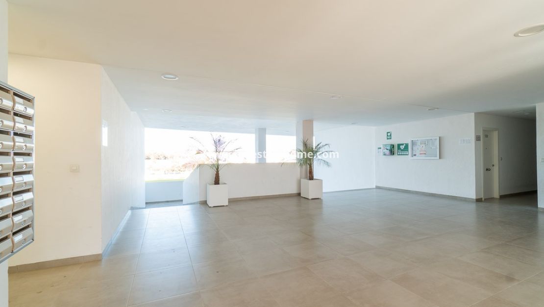 Verkoop - Appartement - San Miguel de Salinas