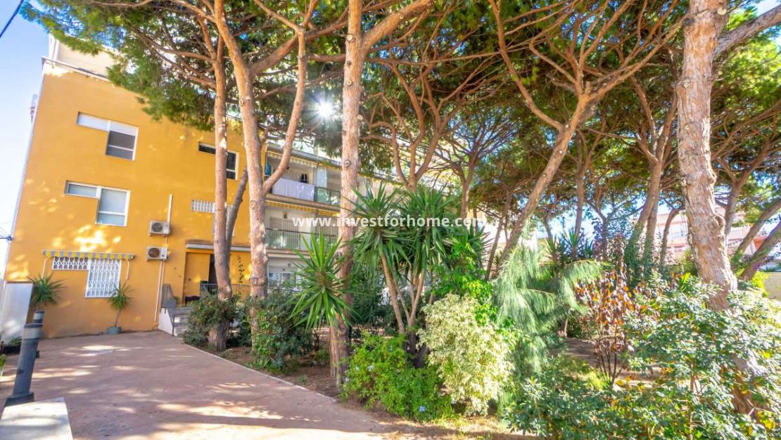 Verkoop - Appartement - San Pedro del Pinatar - Costa Calida