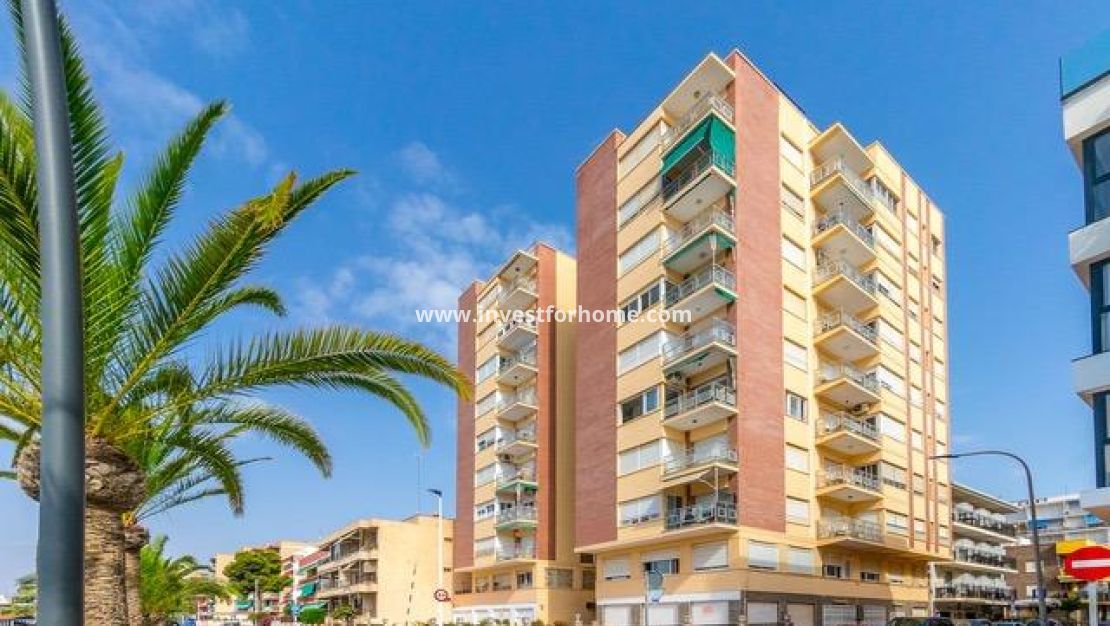 Verkoop - Appartement - San Pedro del Pinatar - Villananitos