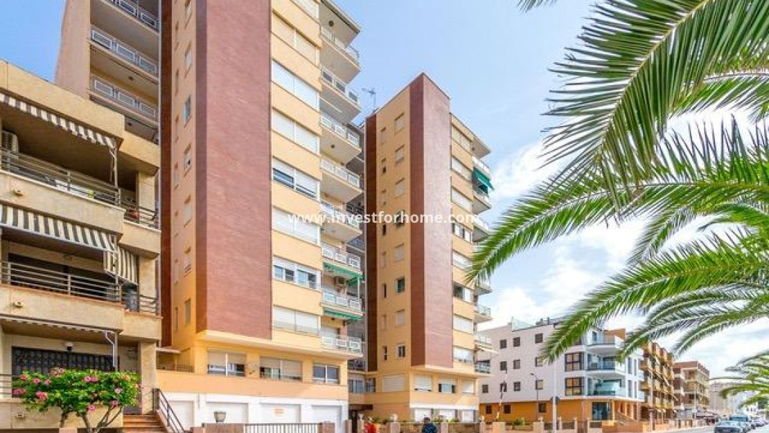 Verkoop - Appartement - San Pedro del Pinatar - Villananitos