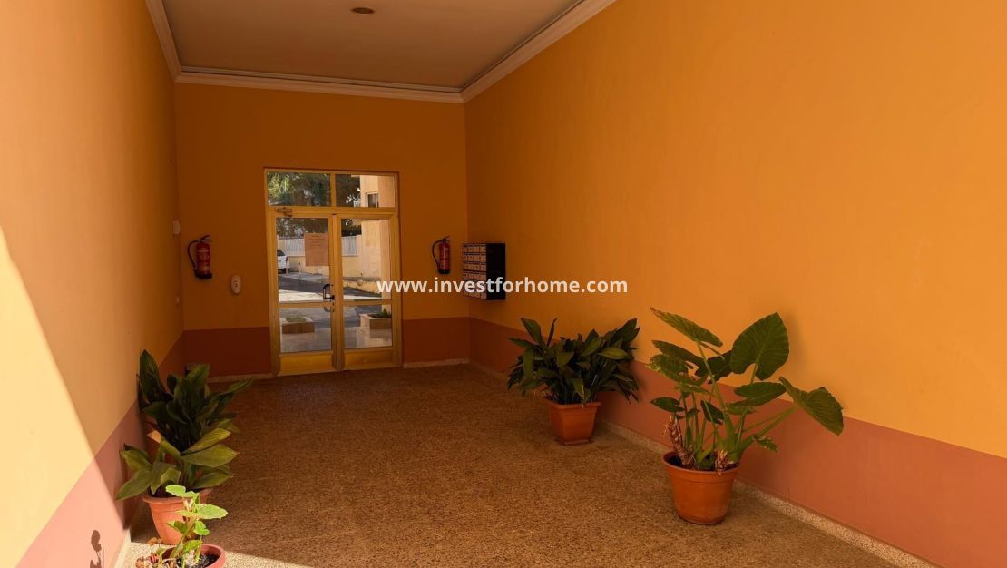 Verkoop - Appartement - San Pedro del Pinatar - Villananitos