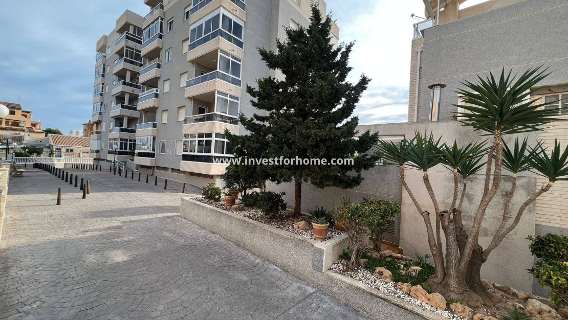 Verkoop - Appartement - Torrevieja - aguas nuevas