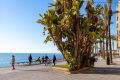 Verkoop - Appartement - Torrevieja - Antonio Machado