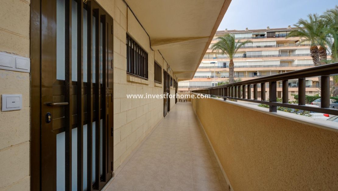 Verkoop - Appartement - Torrevieja - Cabo Cervera