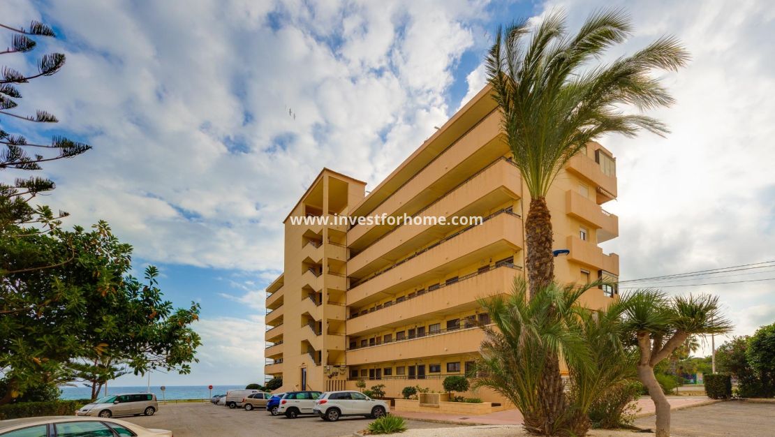 Verkoop - Appartement - Torrevieja - Cabo Cervera